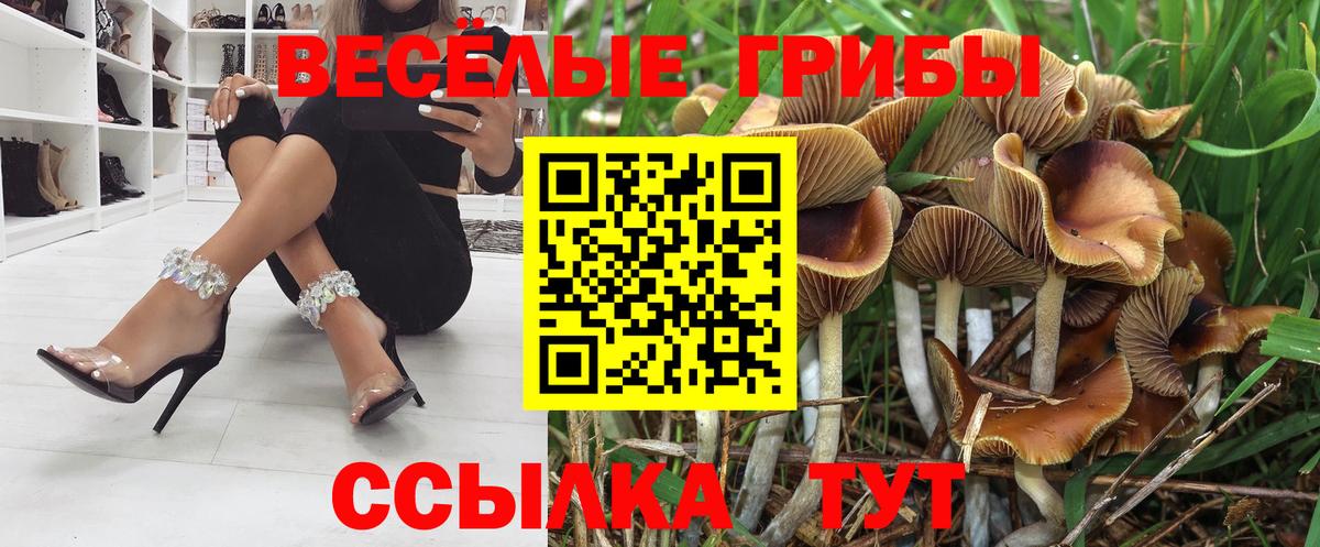 Галлюциногенные грибы Magic Shrooms  Псилоцибиновые грибы Cubensis  Вход с VPN  хочу наркоту  Тимашёвск 