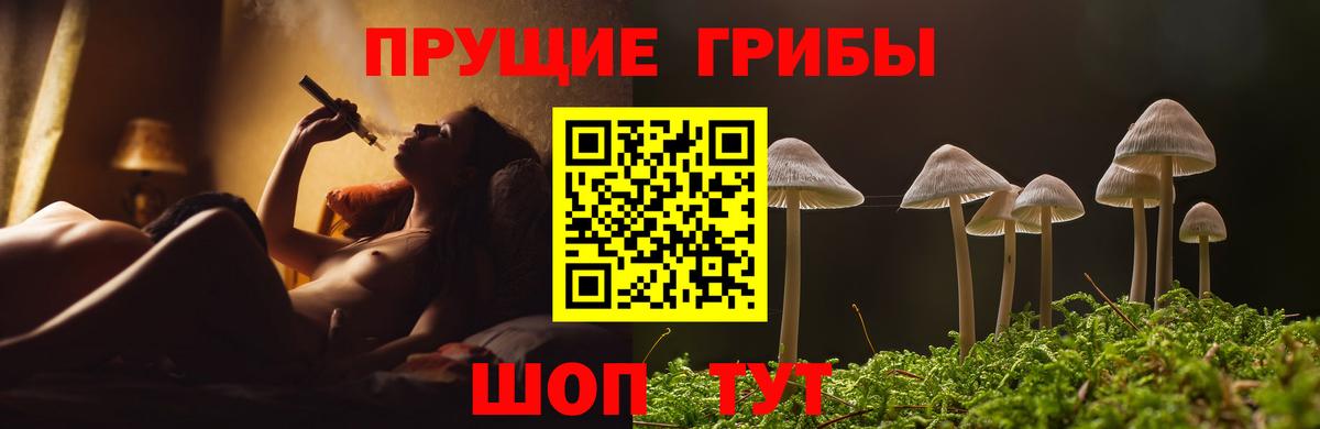 Псилоцибиновые грибы Psilocybine cubensis Тимашёвск